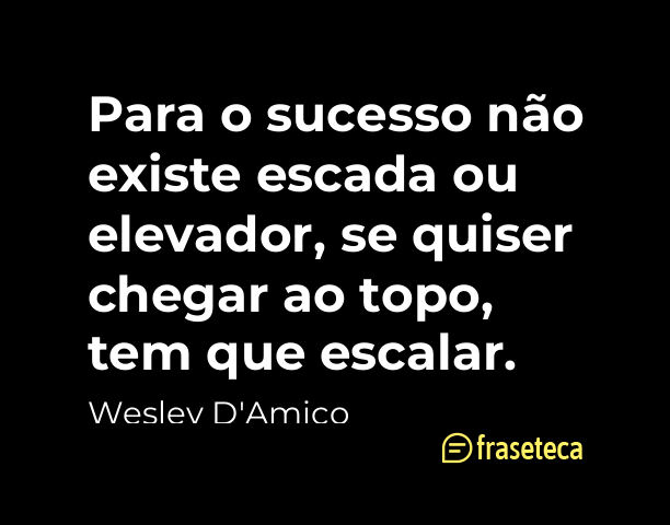 “Para o sucesso não existe escada ou elevador, se quiser chegar ao topo, tem que escalar.” - 